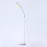 Торшер Ambrella Light TR97680
