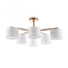 Люстра на штанге Freya FR5386CL-06G