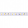 Лента DesignLed DSG5120-24-W+WW-33