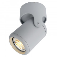 Спот ARTE Lamp A3316PL-1GY