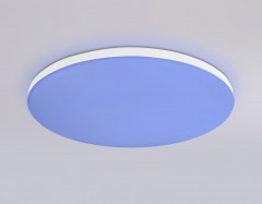 Накладной светильник Ambrella Light FZ2001