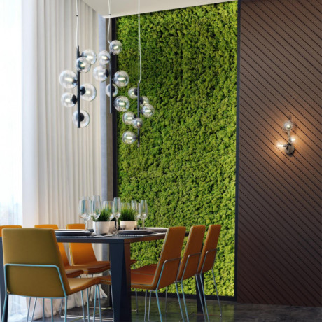 Подвесная люстра Odeon Light 4818/6