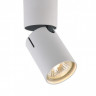 Накладной светильник Vele Luce VL8061S21