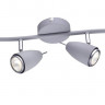 Спот ARTE Lamp A1966PL-4GY