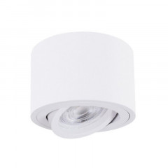 Накладной светильник ARTE Lamp A2260PL-1WH