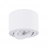 Накладной светильник ARTE Lamp A2260PL-1WH