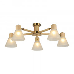 Накладная люстра ARTE Lamp A4096PL-5BR