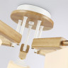 Накладная люстра Ambrella Light TR9518