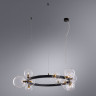 Подвесная люстра ARTE Lamp A7790SP-15BK