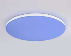 Накладной светильник Ambrella Light FZ2002