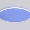 Накладной светильник Ambrella Light FZ2002