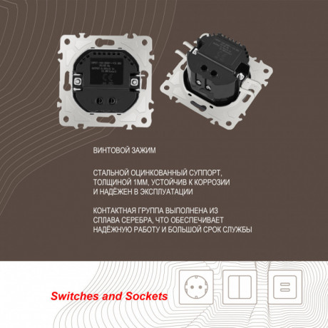 Розетка Arte Milano 206.46-1.shampan