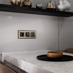 Клавиша/Накладка Werkel W1129012