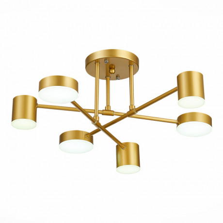 Люстра на штанге Evoluce SLE201022-06