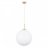 Подвесной светильник ARTE Lamp A1564SP-1PB