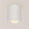 Накладной светильник Citilux CL538111