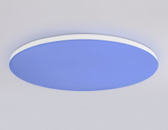 Накладной светильник Ambrella Light FZ2003