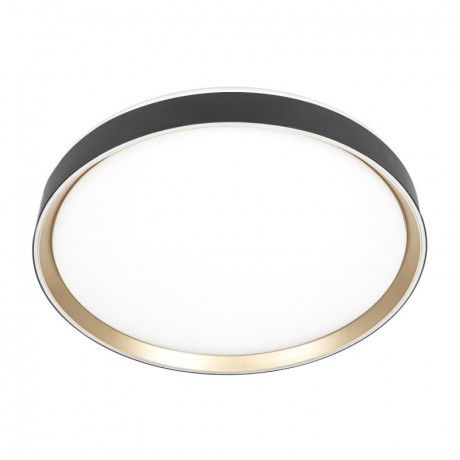 Накладной светильник Citilux CL751451G