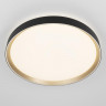 Накладной светильник Citilux CL751451G