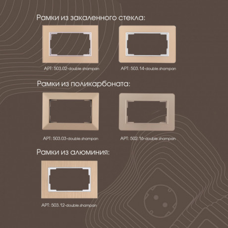 Розетка Arte Milano 203.40-2.shampan