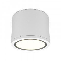 Накладной светильник Maytoni Technical C095CL-GX53-W