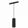 Светильник на шине Maytoni Technical TR041-2-12W4K-B