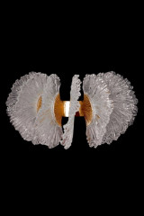 Бра Fluorite FL1094-3W