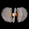 Бра Fluorite FL1094-3W