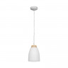Подвесной светильник LOFT IT LOFT4402A-WH