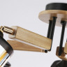 Накладная люстра Ambrella Light TR9529
