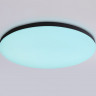 Накладной светильник Ambrella Light FZ2004
