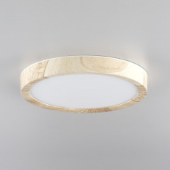 Накладной светильник Citilux CL738122N