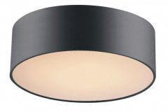 Накладной светильник Favourite 1514-2C