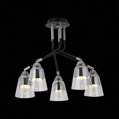 Люстра на штанге Evoluce SLE102902-05