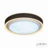 Накладной светильник iLedex B6233-91W/520 WH