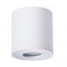 Влагозащищенный светильник ARTE Lamp A1460PL-1WH