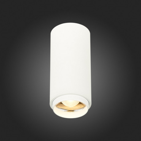 Накладной светильник ST-Luce ST600.532.10