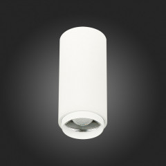 Накладной светильник ST-Luce ST600.532.10