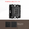 Розетка Arte Milano 217.46-1.black