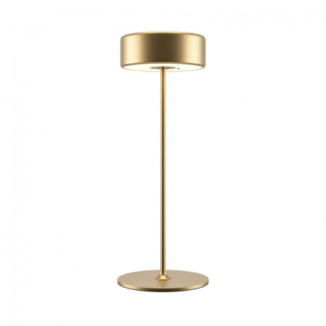 Настольная лампа Maytoni MOD229TL-L3G3K2