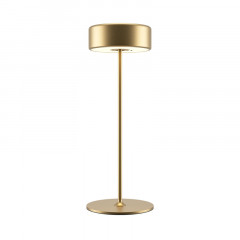 Настольная лампа Maytoni MOD229TL-L3G3K2