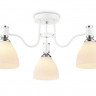 Накладной светильник Ambrella Light TR303302