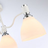 Накладной светильник Ambrella Light TR303302