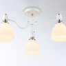 Накладной светильник Ambrella Light TR303302