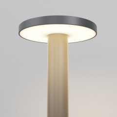 Садово-парковый светильник Maytoni O420FL-L12GF