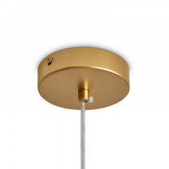 Подвесная люстра Freya FR5528PL-01BS