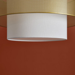 Подвесная люстра Freya FR5528PL-01BS