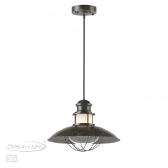 Подвесной уличный светильник Odeon Light 4164/1