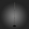 Торшер ST-Luce SL1580.405.01