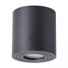 Влагозащищенный светильник ARTE Lamp A1460PL-1BK